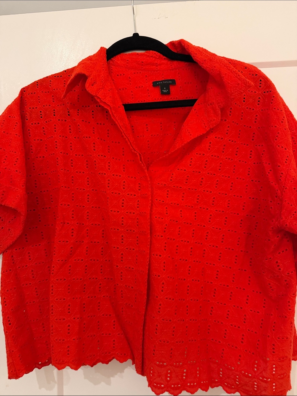 Ann Taylor Men’s Bright Red Eyelet Button-Down Shirt